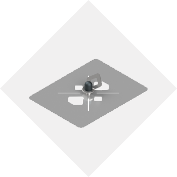 Rondinella